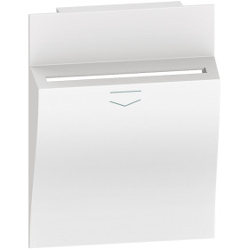 BT Living now Белый Лицевая панель для карточного выключателя 2 мод.