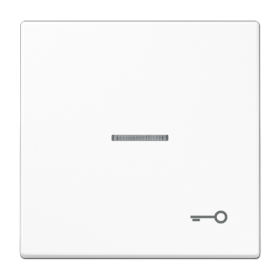 JUNG Клавиша для выключателя с символом «Ключ», белый