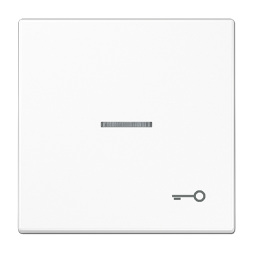 Клавиша для выключателя с символом «Ключ»