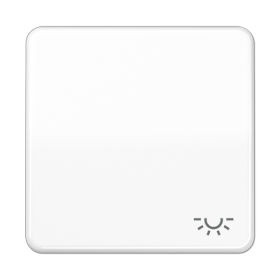 JUNG CD 500/CD plus Белая Клавиша 1-ая с символом ОСВЕЩЕНИЕ