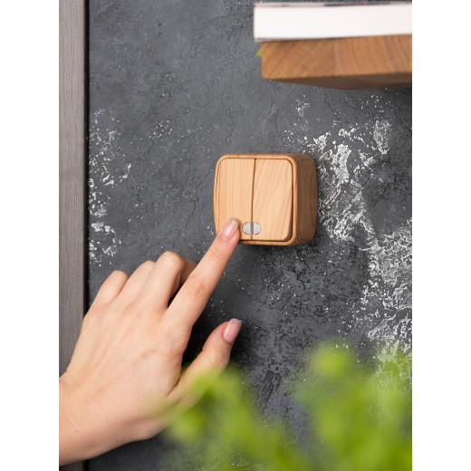 Выключатель 2-клавишный ОП Минск 10А с индикатором светлое дерево EKF