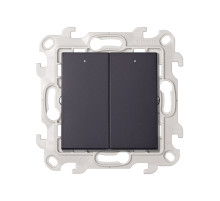 Simon 24 Графит Двухклавишный выключатель с подсветкой