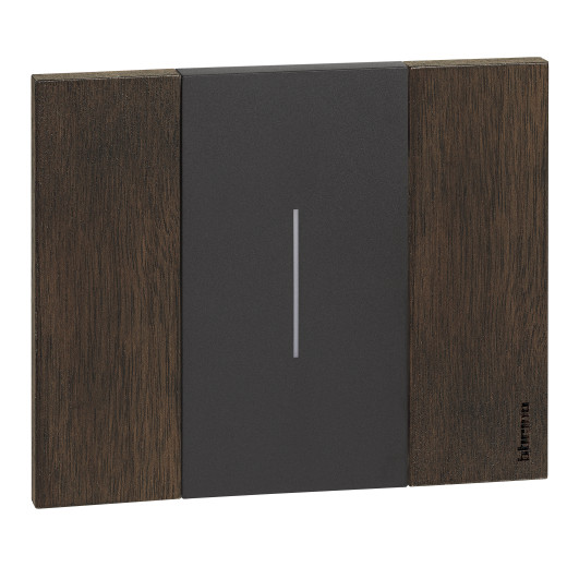 LIVING NOW. Декоративная рамка 2 модуля.Цвет 