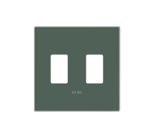 ABB SKY Комодоро Накладка для механизма 2хUSB зарядного устройства