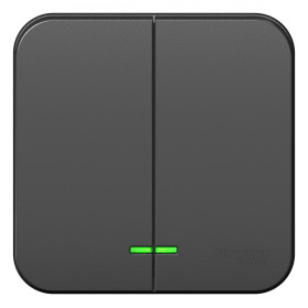 Systeme Electric Blanca наруж Антрацит Выключатель 2-клавишный с подсветкой, 10А, 250B