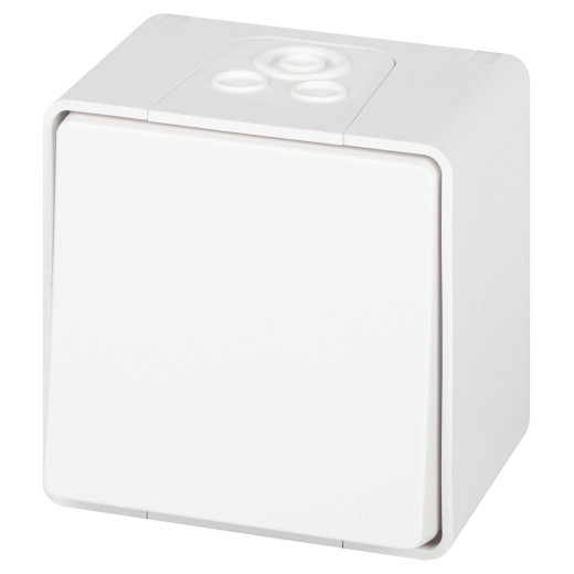 Переключатель ЭРА Эксперт 11-1503-01 IP55 10АХ-250В ОУ белый