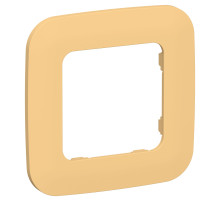 FLITE Рамка 1-мест. РУ-1-А-ФлЗ зол.IEK