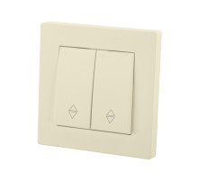 TDM Выключатель на 2 направления 2 кл. 10А сл. кость 