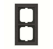 ABB Axcent Сланец Рамка 2-постовая