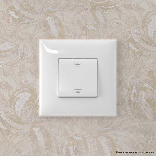 Инвертор одноклавишный в стену, Avanti, белое облако