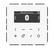 JUNG Цифровое радио DAB + с поддержкой Bluetooth, белый