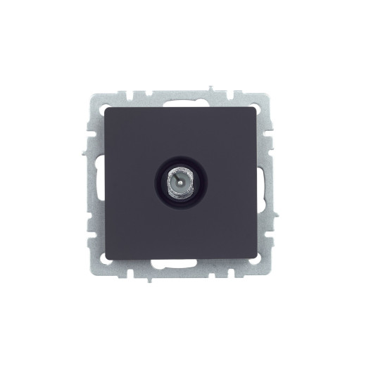 BRITE Роз. TV проходная РТВ10-0-БрГ граф. IEK