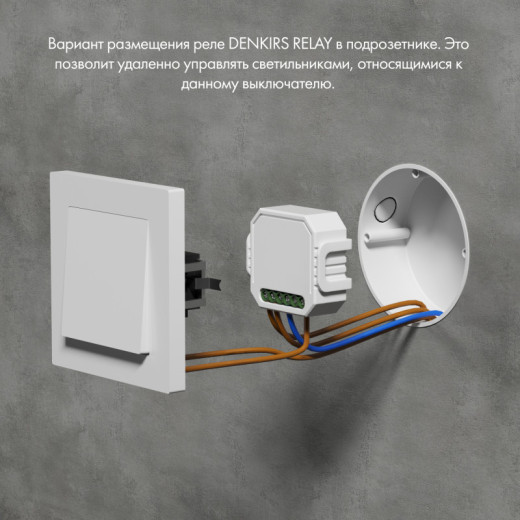 RL1003-DM/1 Одноканальное Wi-Fi реле-диммер 1 x 150 Вт
