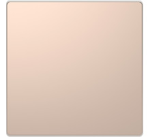 Schneider Electric Merten D-Life Шампань Заглушка