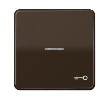 JUNG CD 500/CD plus Коричневая Клавиша 1-ая с/п с символом КЛЮЧ