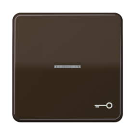 JUNG CD 500/CD plus Коричневая Клавиша 1-ая с/п с символом КЛЮЧ