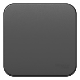 Systeme Electric Blanca наруж Антрацит Выключатель 1-клавишный 10А, 250B, изолир. пластина