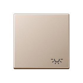 JUNG Клавиша с символом 