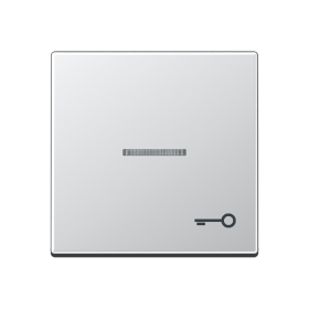 JUNG Клавиша для контрольного выключателя со знаком ключ алюминий