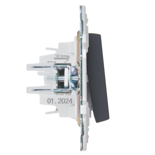 SKANDY Выключ. 1-кл. 10А SK-V01T титан IEK