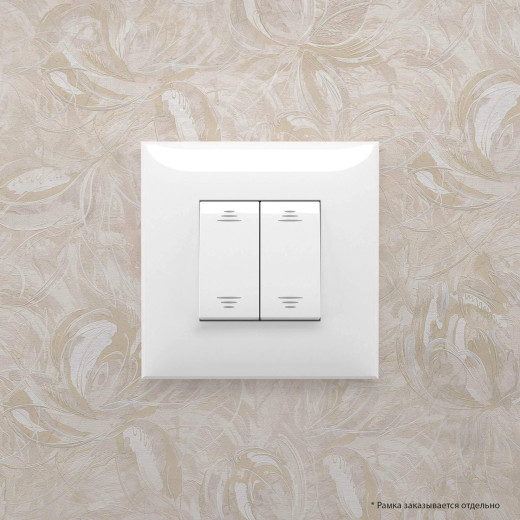 Выключатель двухклавишный в стену, Avanti, белое облако