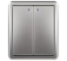 ЭРА Выключатель Эксперт 11-1205-03 двойной с подсветкой IP20 10АХ-250В ОУ алюминий