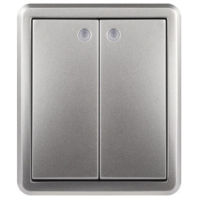 ЭРА Выключатель Эксперт 11-1205-03 двойной с подсветкой IP20 10АХ-250В ОУ алюминий