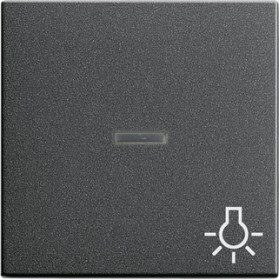 Gira Клавиша с пиктограммой 