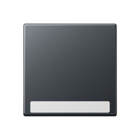 JUNG Клавиша с полем для надписи, матовый антрацит