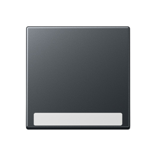 Клавиша с полем для надписи