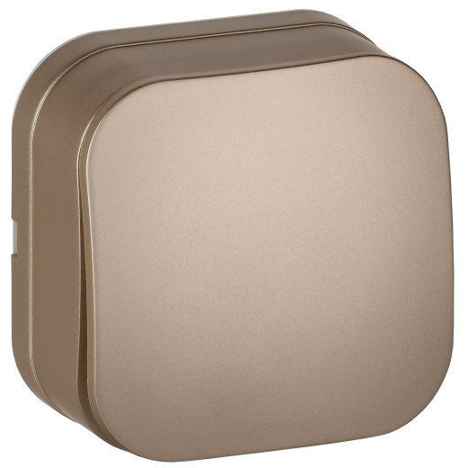 GLORY Выключ. 1-кл. о/у 10А ВС20-1-0-ХШм шамп. м. IEK