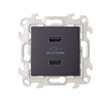 Simon 24 Графит Зарядное устройство 2хUSB 2,4A