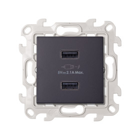 Simon 24 Графит Зарядное устройство 2хUSB 2,4A