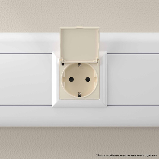 Розетка с крышкой модульная, 2P+E, с з/ш, Avanti, ванильная дымка, 2 модуля