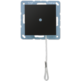 JUNG A Flow/A 550 Черный матовый Выключатель со шнурком (универсальный) 10 A, 250 B