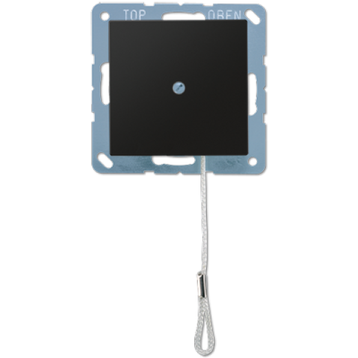 Выключатель со шнурком (универсальный) 10 A / 250 B, термопласт, черный матовый