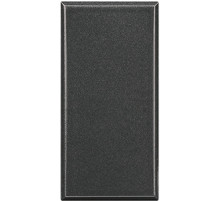 BT Axolute Антрацит Заглушка 1 мод.