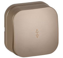 IEK GLORY Выключ. 1-кл. прох. о/у 10А ВСп10-1-0-ХШм шамп. м.