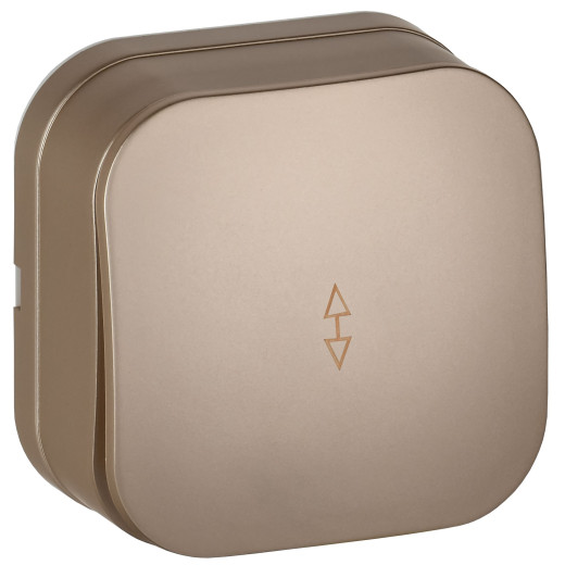 GLORY Выключ. 1-кл. прох. о/у 10А ВСп10-1-0-ХШм шамп. м. IEK