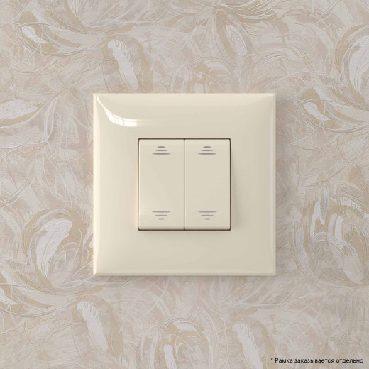 Переключатель двухклавишный в стену, Avanti, ванильная дымка