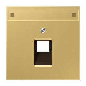 JUNG крышка для модульных разъемов, латунь Classic