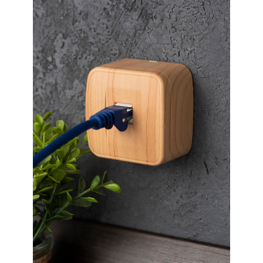 Розетка RJ-45 1-местная ОП Минск, 1А, 120В, светлое дерево EKF