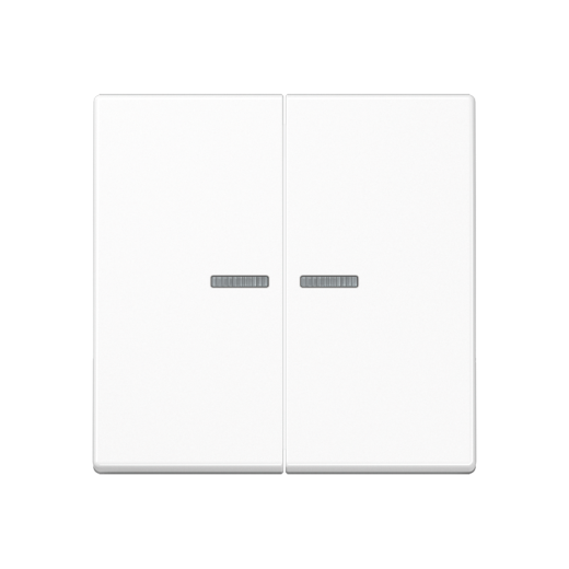 Двойная клавиша с окошками для балансирных механизмов выключателей (кнопок), в комплекте с AS90-5HP (крепежный элемент), возможно IP44, дюропласт, белый, A500