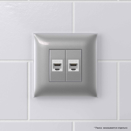 Компьютерная розетка RJ-45 без шторки в стену, кат.6 двойная, Avanti, закаленная сталь