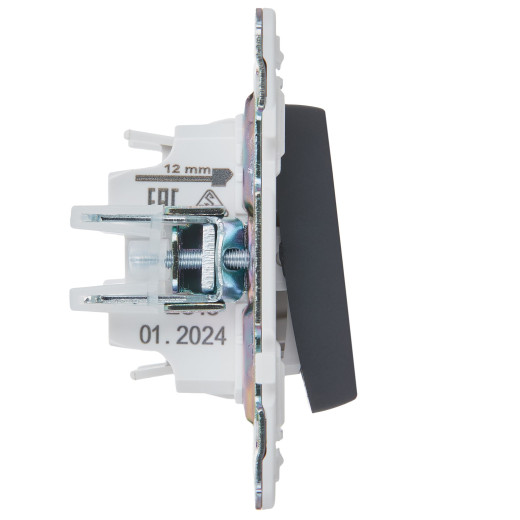 SKANDY Выключ. 1-кл. перекр. 10А SK-V03T титан IEK