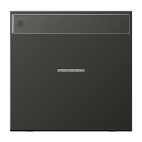 JUNG Клавиша для контрольного выключателя с подсветкой, с полем для надписи антрацит