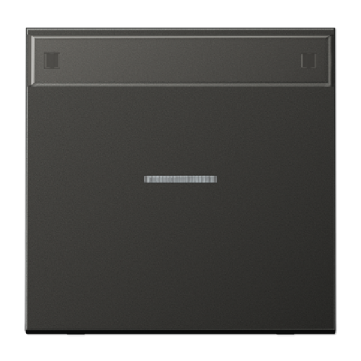 Клавиша для контрольного выключателя с подсветкой, с полем для надписи, антрацит