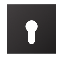 JUNG крышка для выключателя с замком, Dark