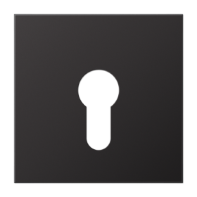 JUNG крышка для выключателя с замком, Dark