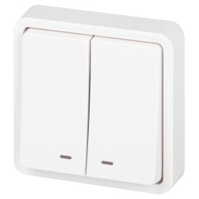 ЭРА Выключатель Эксперт 11-1525-01 двойной с подсветкой IP55 10АХ-250В СУ белый